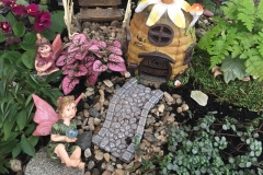 fairy-garden