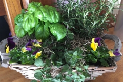 herb-garden-class--1